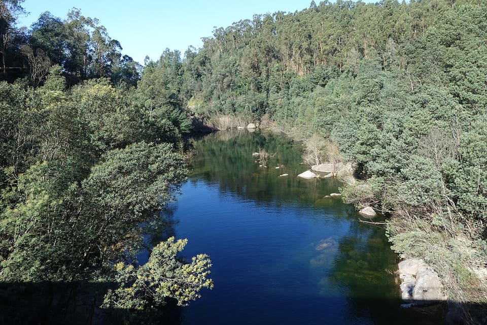 Rio entre margens arborizadas junto a Parada, Vieira do Minho
